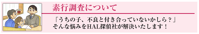 HAL探偵社の素行調査